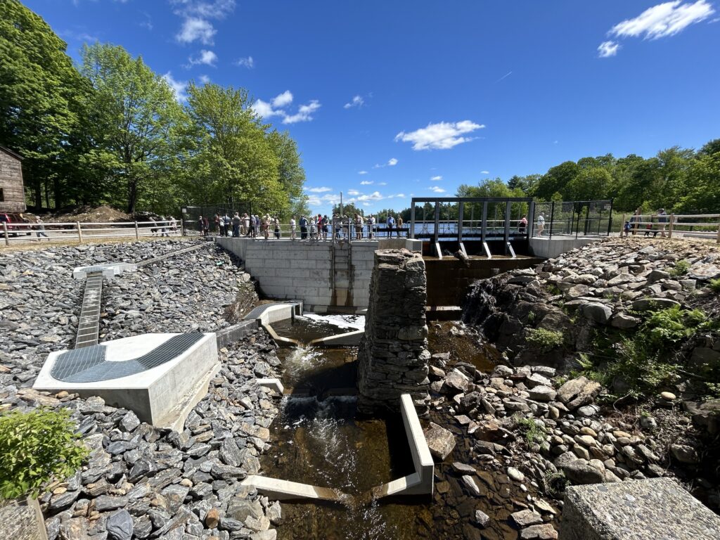 BP-site-completed-1024x768