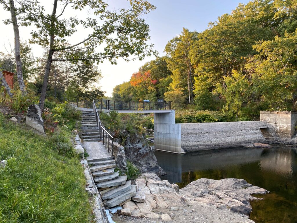 Head-Tide-2020-MNM-1024x768