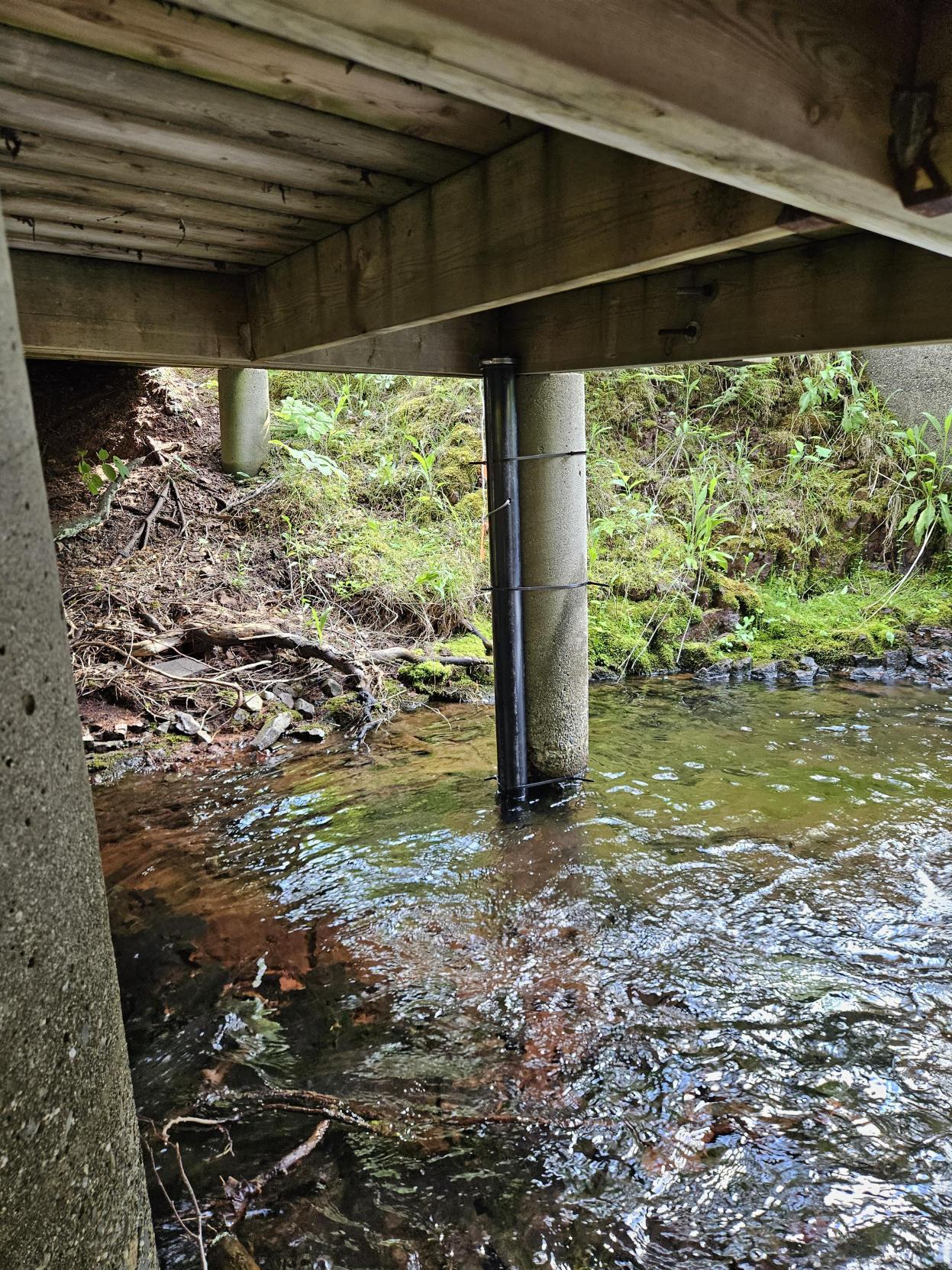 Second image