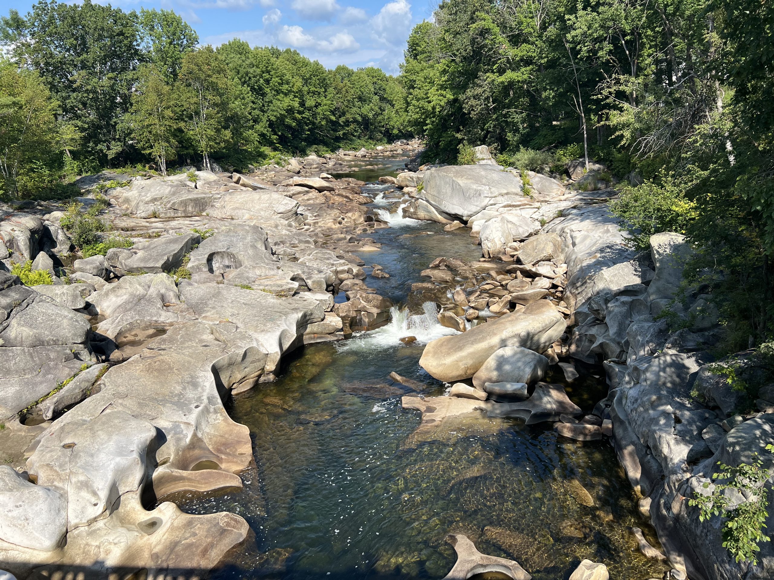 The Sandy River in Maine where ASF's Research Team found large salmon and healthy-looking juvenile salmon in large pools.