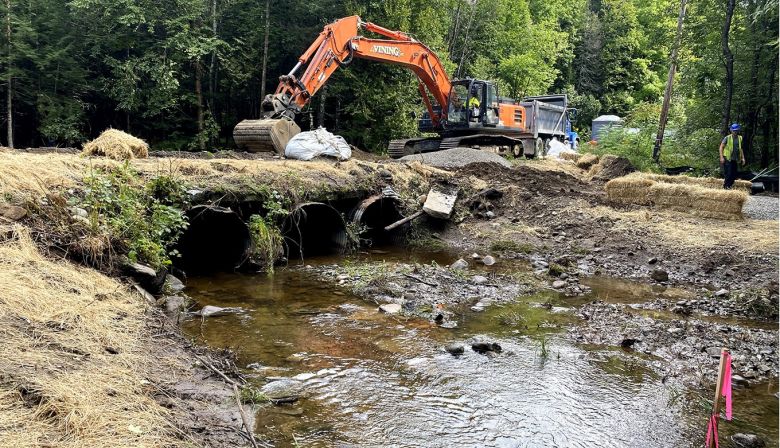 1360-decrepit-cummings-IMG_4079