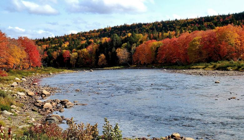 1360-down-river-from-parks-brook