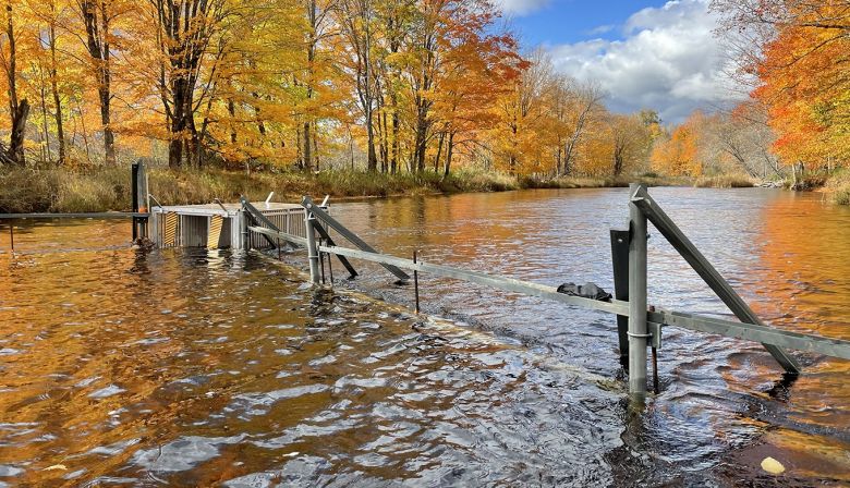 1360-east-river-pictou-oct20-kris-hunter