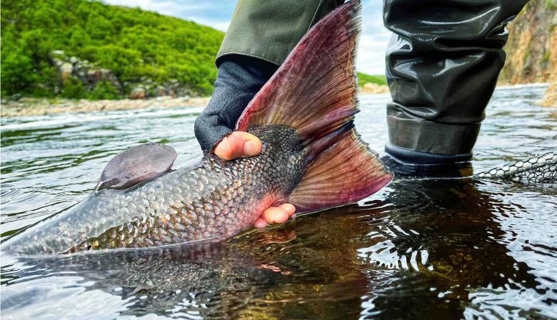 1360-kharlovka-fin-gigapixel