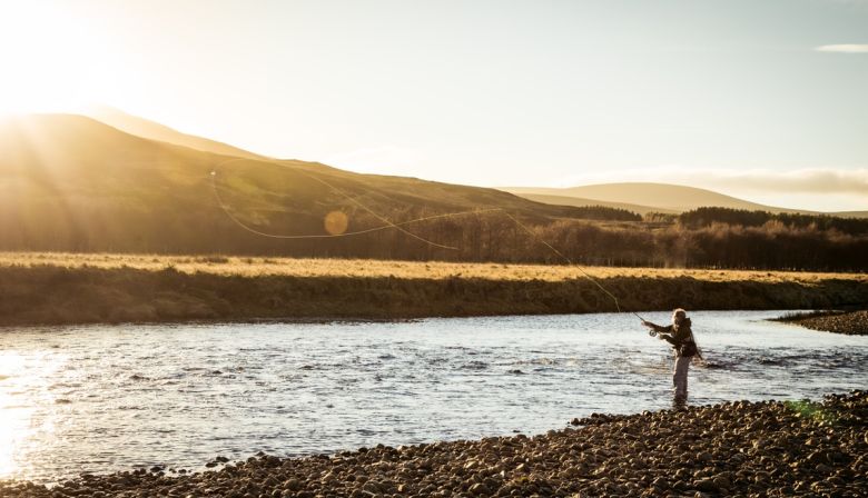 483C7498-0A36-4058-8E87-C7AB135F02F2_1_105_c