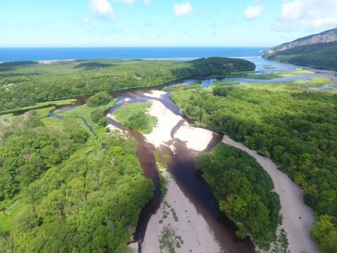 Cheticamp-Estuary_2022-08-11-163559_fbwt