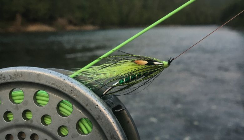 Fly-Fish-Picture-Montreal-Blog