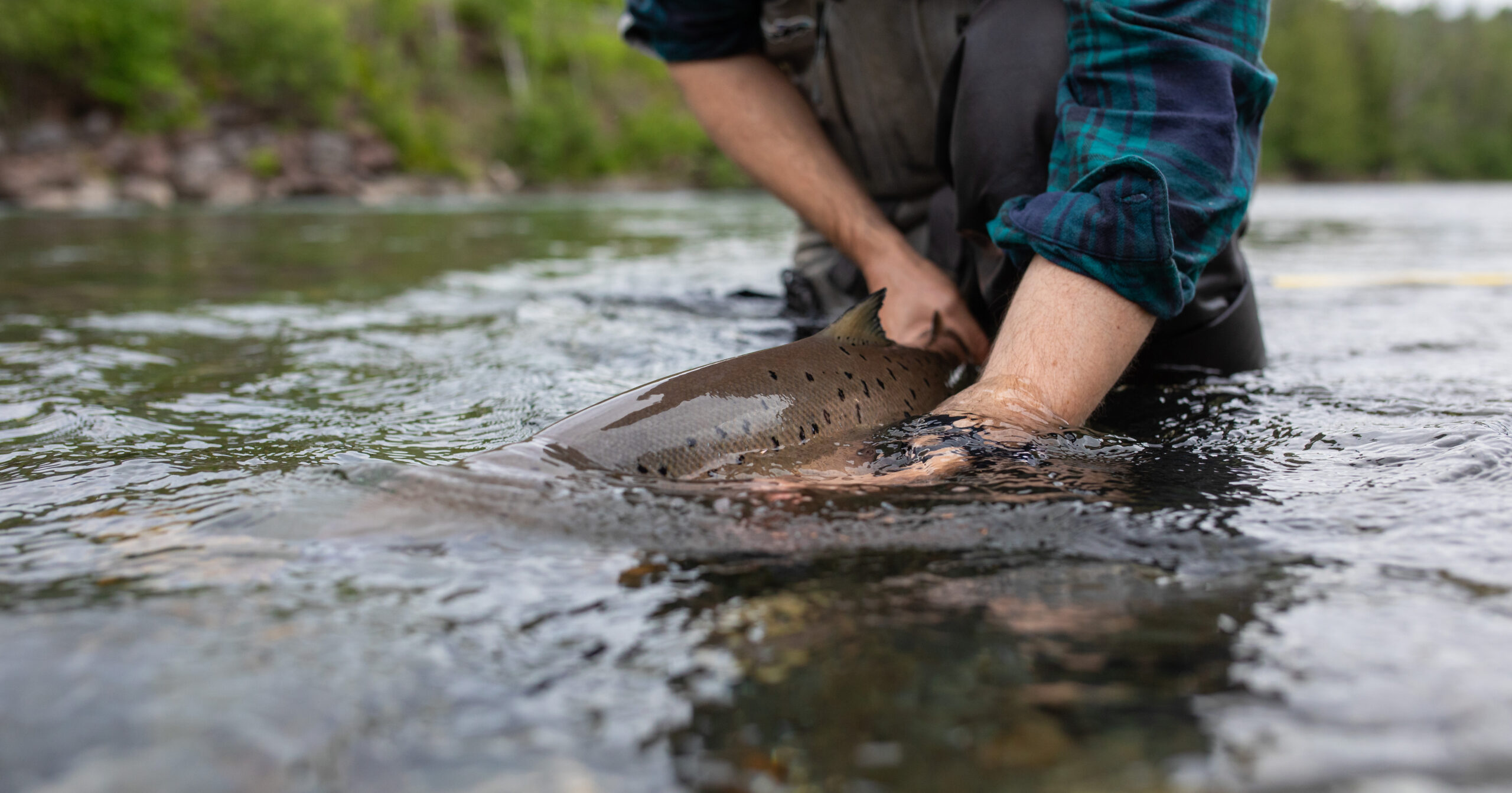 GaspeTrip2024-34-scaled