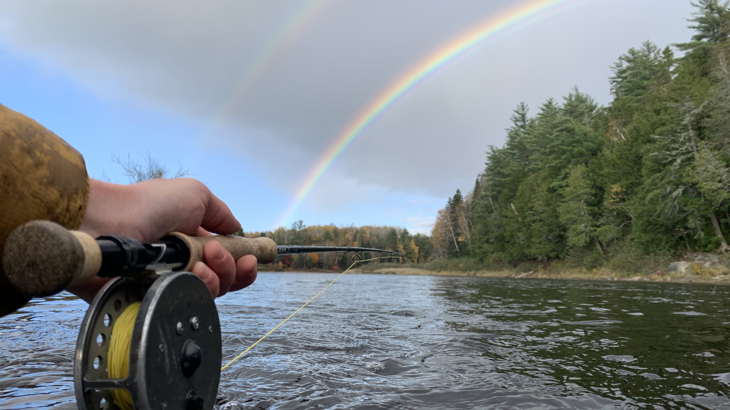 NW-Rainbow-copy-scaled