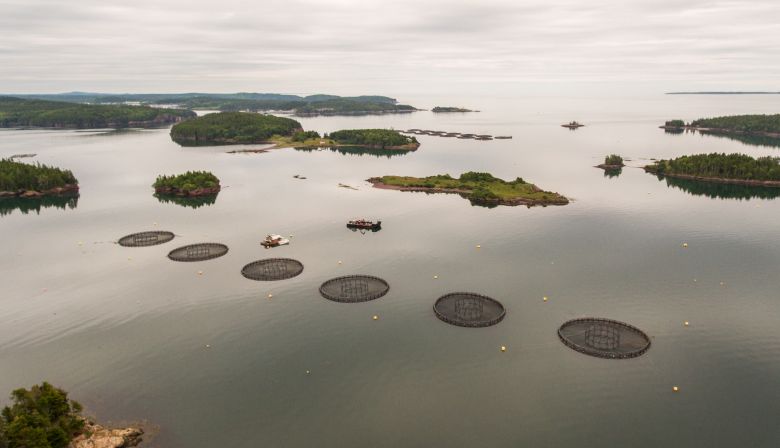 Nick-Hawkins-Eastern-Shore-Islands-ASF-0172