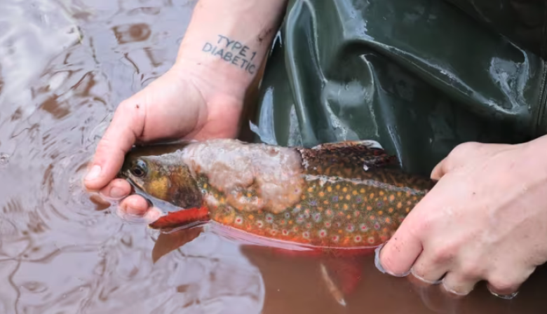 Screenshot-2023-02-23-at-12.58.02-PM