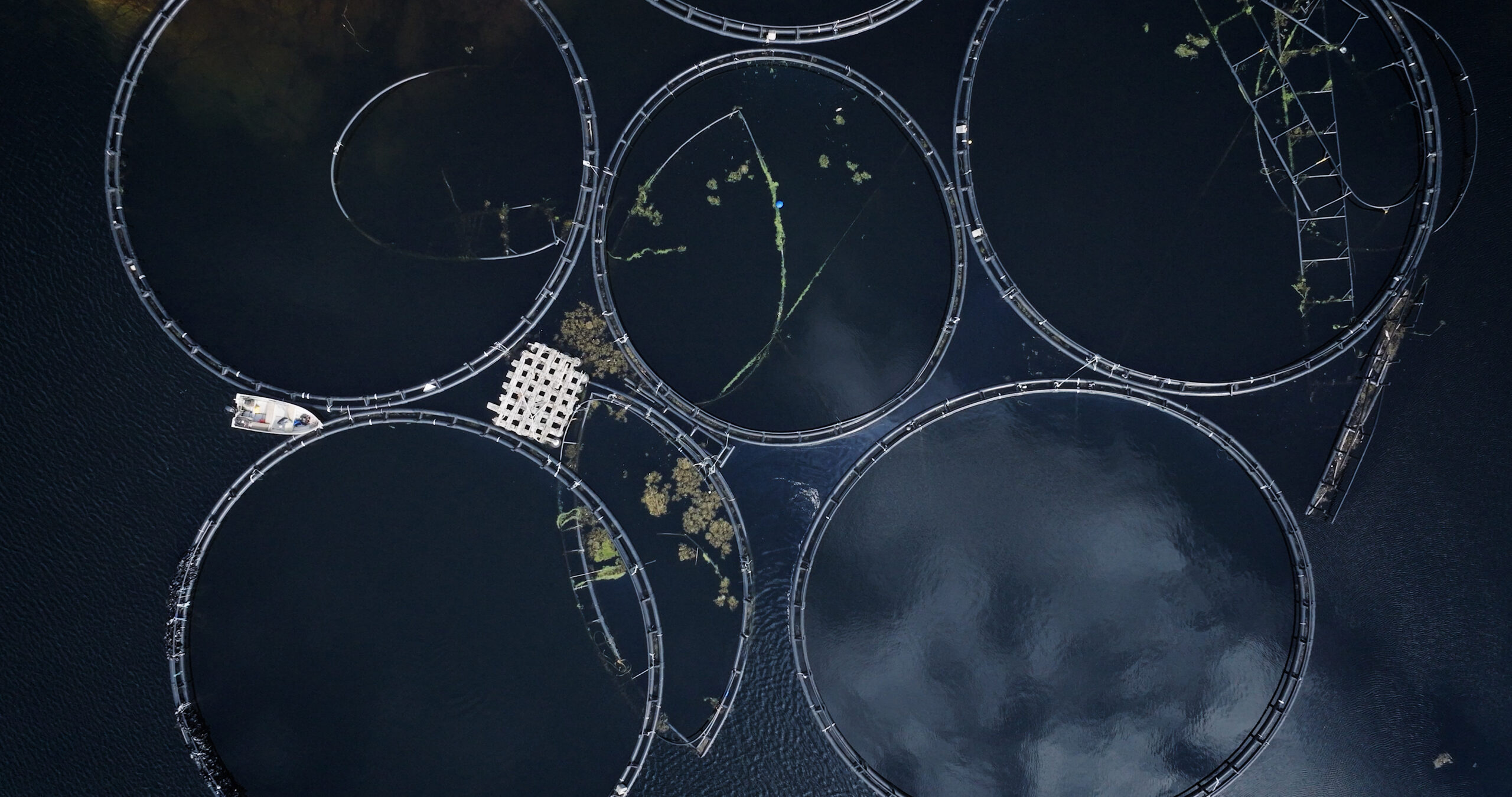 locker garbage Jake Dicks 2