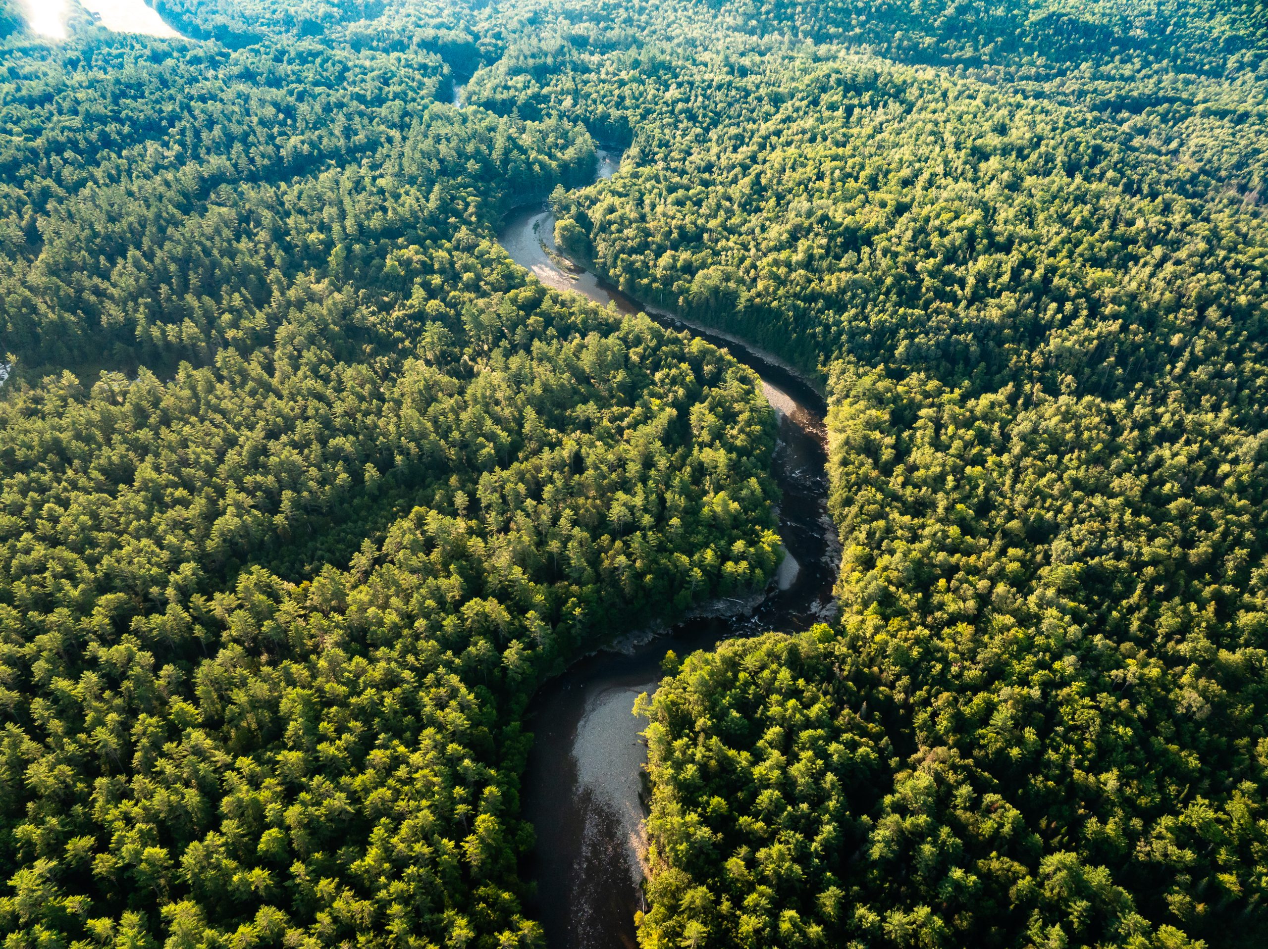 DJI_20240808075549_0017_D-scaled