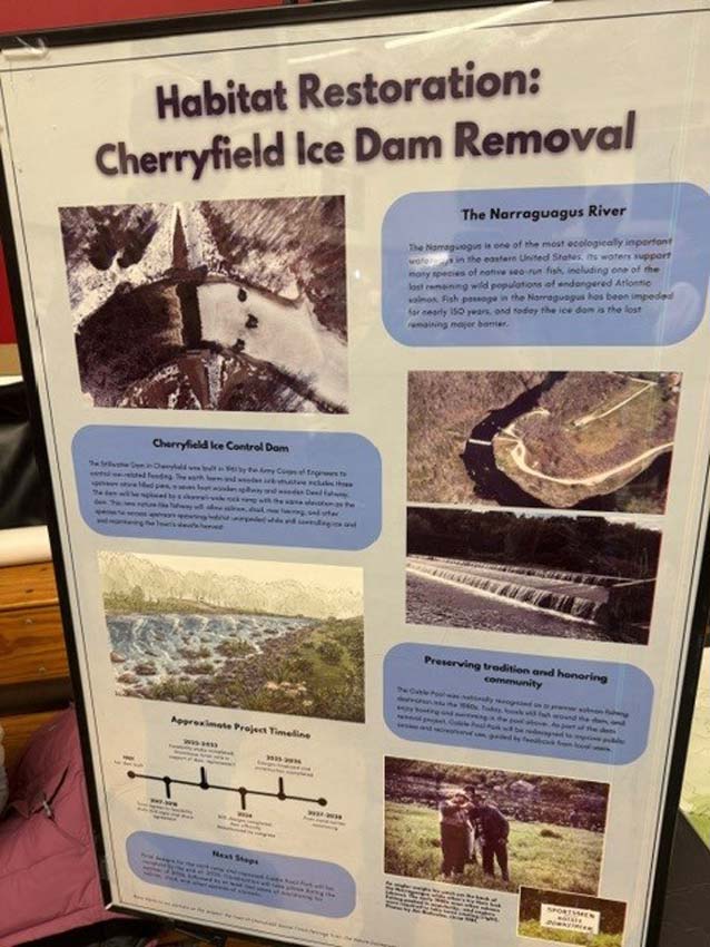 Future smelt fries will benefit from removal of the Cherryfield Dam. <p></p>Photo: Jeff Reardon