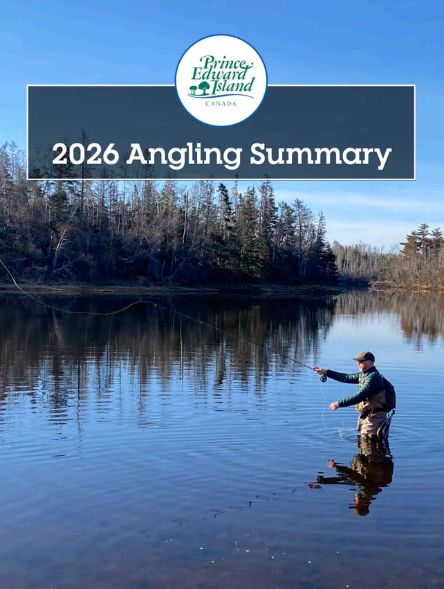 <a href="https://www.princeedwardisland.ca/en/information/land-and-environment/angling-resources-and-information-centre#utm_source=redirect&utm_medium=url&utm_campaign=angling" target="_blank" rel="noopener noreferrer">Click here to visit the Prince Edward Island Angling Resources <p></p>and Information Centre.</a>