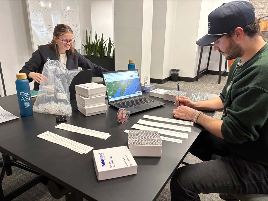 Matt Russell races to finish labelling the last of his vials while Heather Perry powers through end-of-season computer work before signing off for the smolt run. The lab doesn't stop; it just moves to the river. Photo: Aaron Clausen