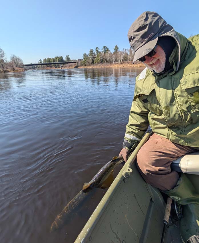 Hank Leeming revives a male salmon from the MSW Miramichi. Photo: Axel Lerche