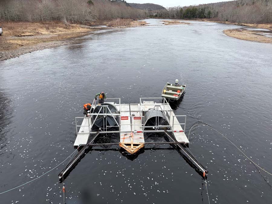 Tandem smolt wheels in Harrisons Pool on the West River St. Mary's. Photo: Matt Russell 