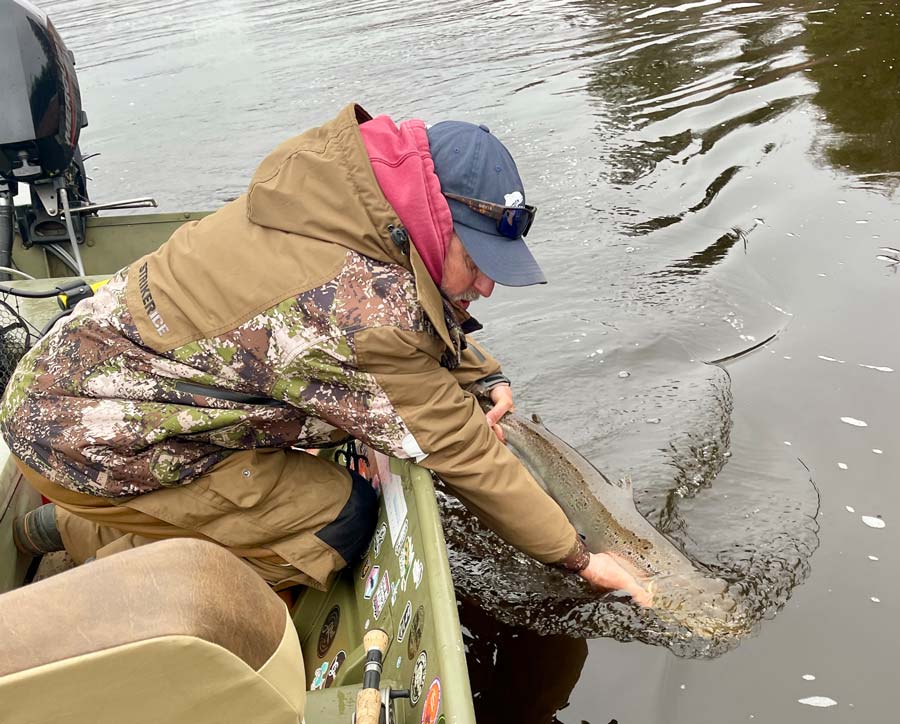American angler Craig Williams landed his first kelt of the season on the Southwest Miramichi, guided by Ian Cavanagh. Photo: Ian Cavanagh