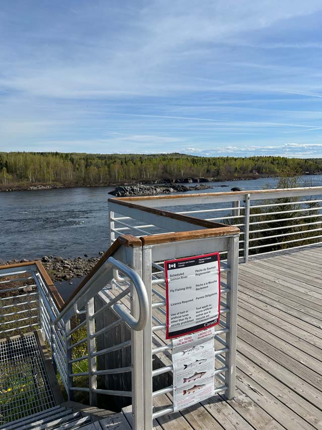 View of the Exploits River from the popular Fallsview Lookout in Bishops Falls where there is easy access for anglers to the salmon pools below. Photo: Kim Thompson
