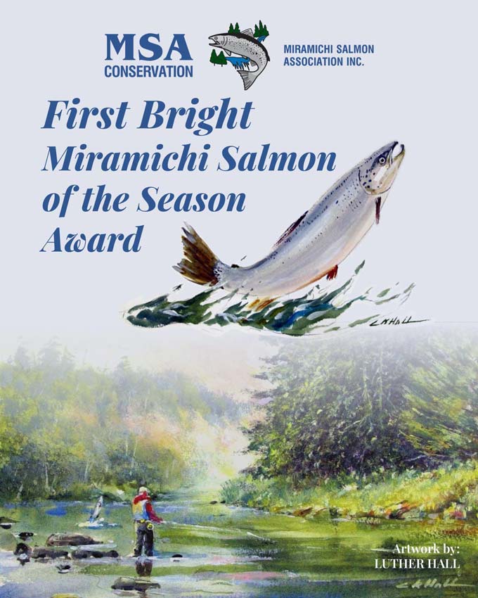 firstbrightaward