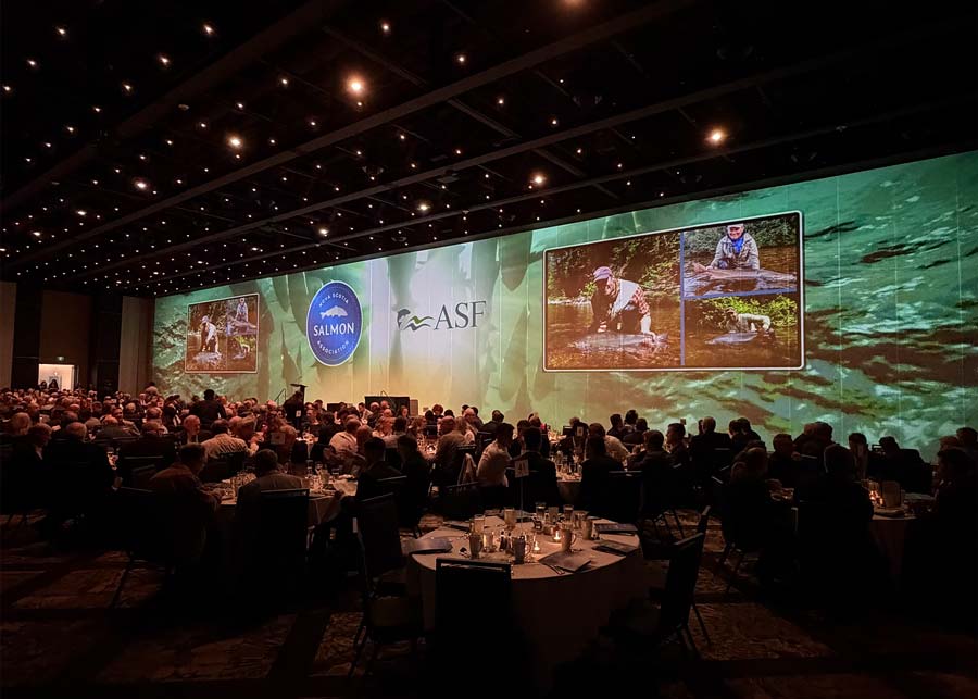 The Halifax fundraising dinner was a sold-out affair. Photo: Matt Russell