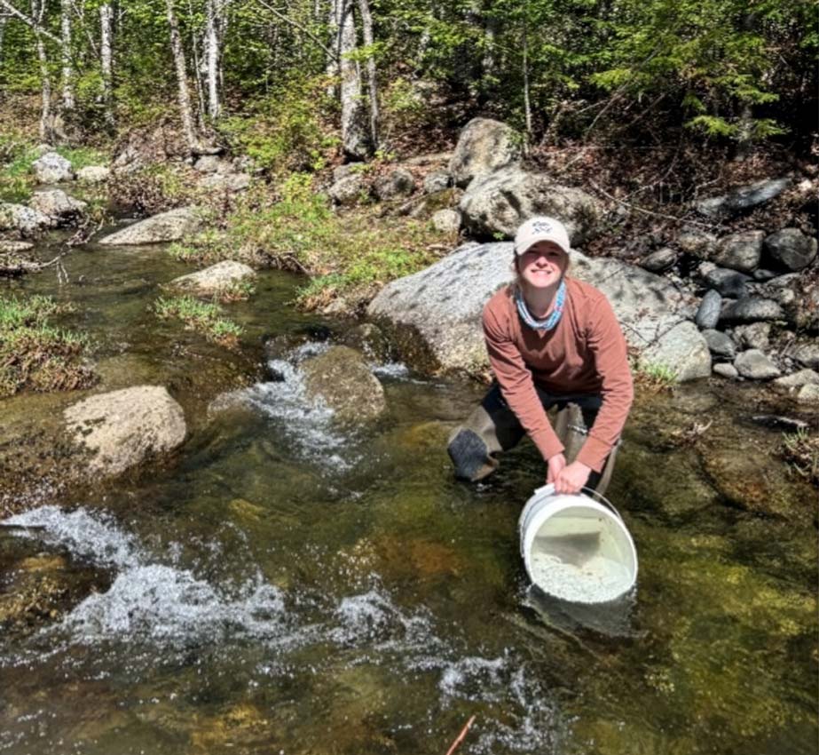 Josie stocks Atlantic Salmon fry on White Brook, a tributary of the West Branch Pleasant River. Photo: Maranda Nemeth (NOAA)