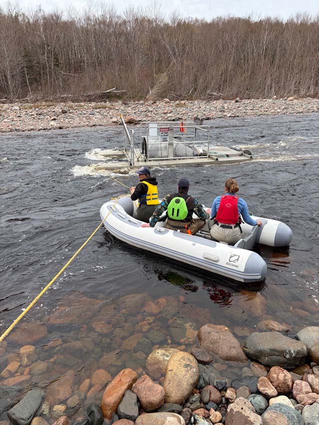Chéticamp River Salmon Association and ASF Environmental Geographer Aaron Clausen accesses the smolt wheel. Photo: Matt Russell