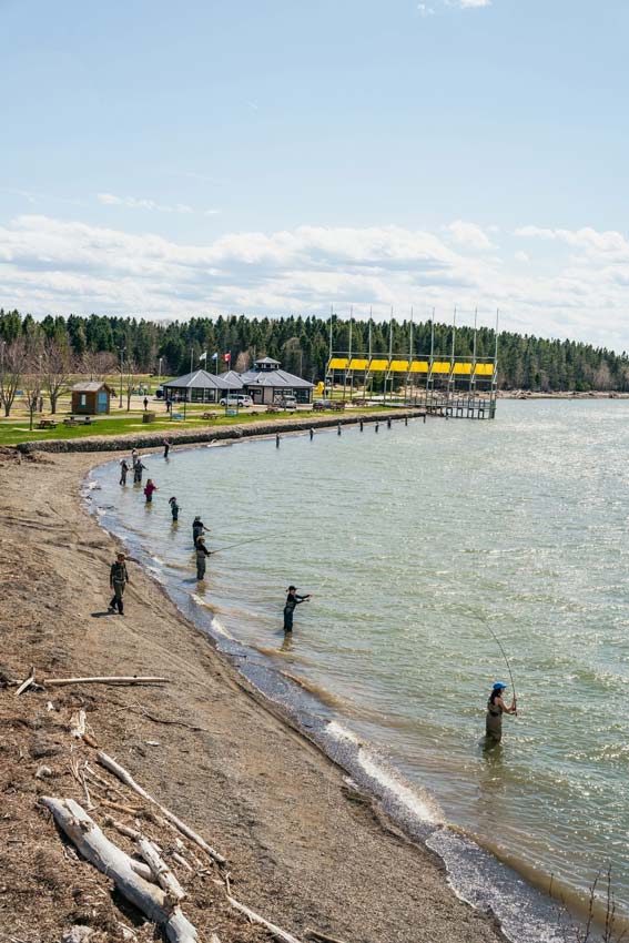 Photo: Hooké