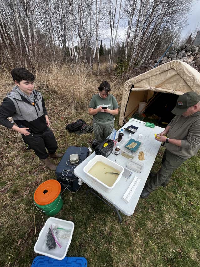 (left to right) Clara Brideau, Katie Russell and Randy Couture work the smolt processing station on the Nepisiguit. Photo: Jordan Condon 