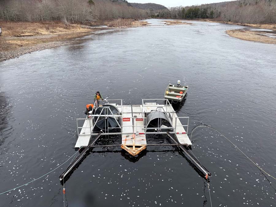 A tandem smolt wheel on the St. Mary's River is manned by DFO staff. High water made smolt-collection efforts less efficient, resulting in fewer smolt captured than in normal years. Photo: Matt Russell