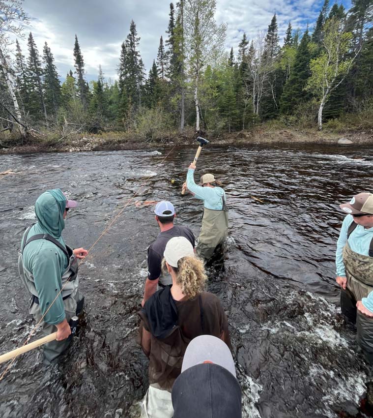 When all else fails, use a bigger hammer. Members of the FABEC, ASF, and Biomark teams stand on the PIT tag array antenna to keep it in place as Jordan Condon swings the sledgehammer to anchor it into the hard NL ground. The 70-foot array of antennas was then buried so it fit seamlessly into the river bottom. Photo: Kris Hunter