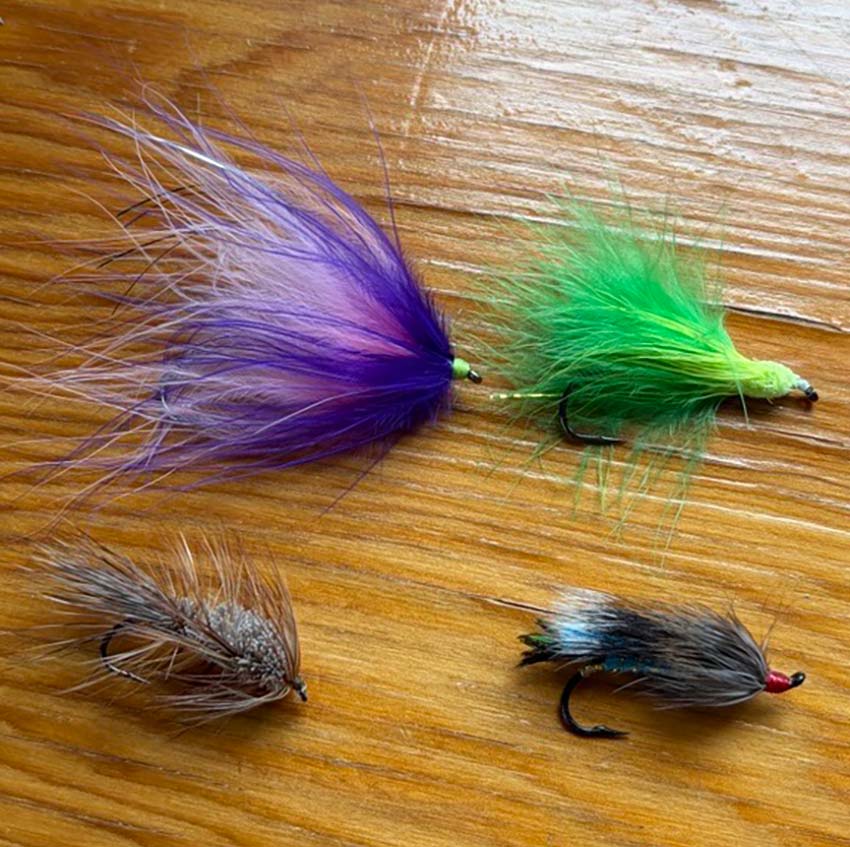 Productive early-season flies include (clockwise from upper left) Marabou Fly, brightly colored Muddler, Rusty Rat, and Carter's Bug. Photo: Matt Russell