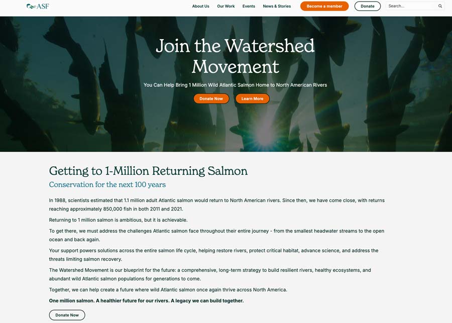 watershedmovement